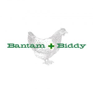 bantam biddy