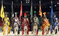 medieval times discounts