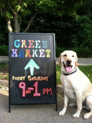 piedmont park green market