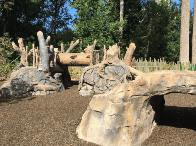 wildwoods-nature-stories-fernbank