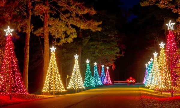 Where to See Holiday Lights