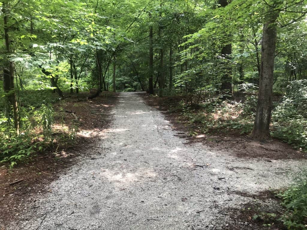 nature trail at Mary Scott Nature Park in Atlanta