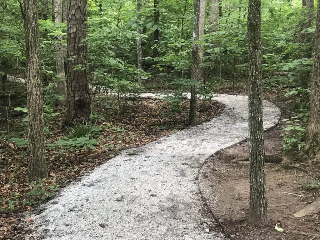 winding path thru the woods at Mary Scott Nature Park