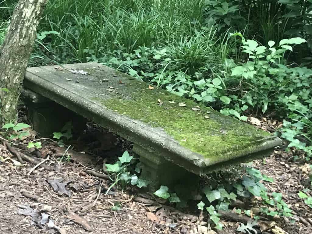 mossy stone bench at Mary Scott Nature Park