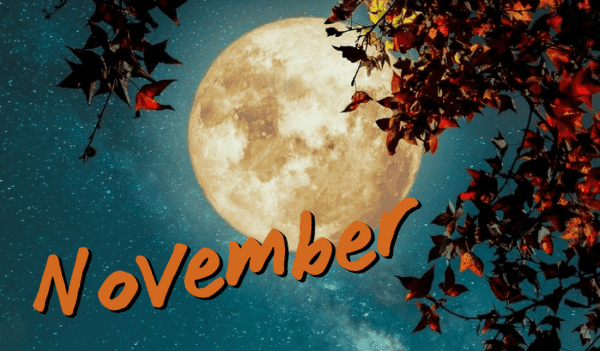 Best Events in November