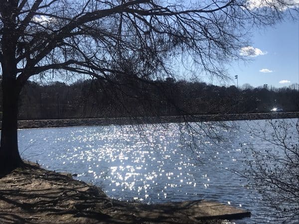 A scenic view of Murphey Candler Lake on a clear winter day. 