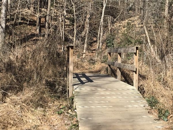 Boardwalk over the marsh at Murphey Candler Park. 