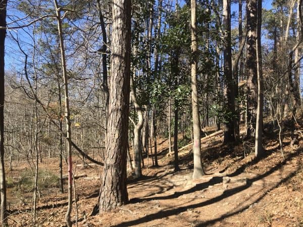 Nature trail at Murphey Candler Park