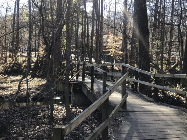 Wooden boardwalk through the woods at Murphey Candler Park. 