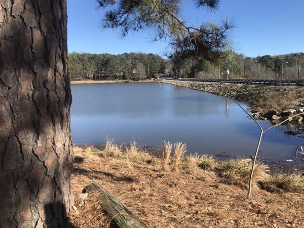 lake view at murphey candler park