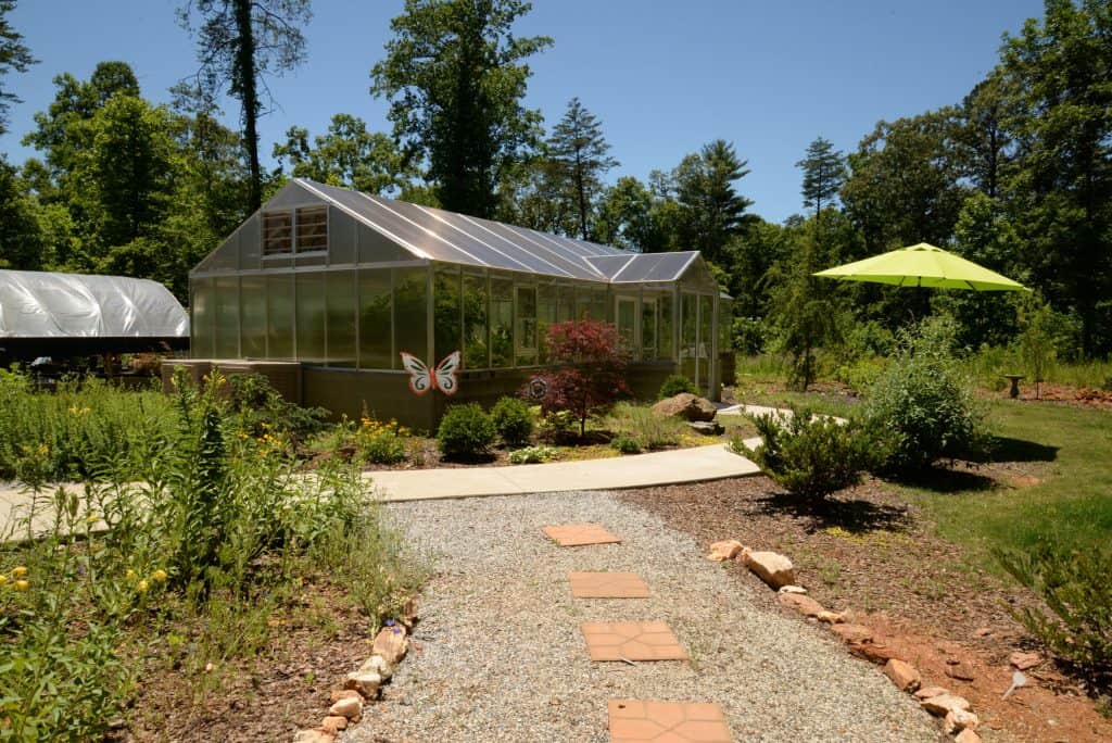 butterfly conservatory in Dahlonega, GA 